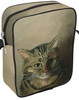 Studium głowy kota tabby