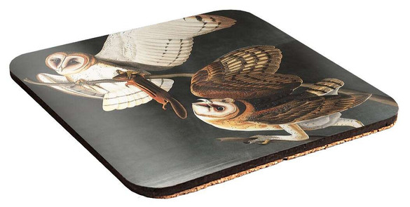 Podkładka pod kubek Barn Owl, Tyto Alba James Audubon