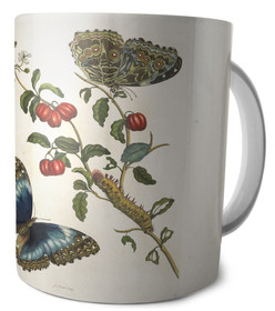 Kubek Great Blue Butterflies and Red Fruits Maria Sibylla Merian