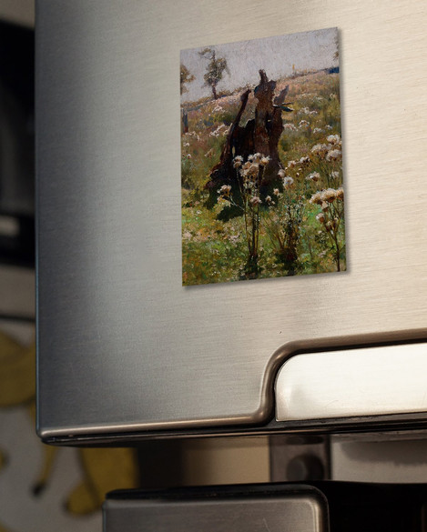 Magnes Bodiaki Jan Stanisławski