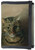 Studium głowy kota tabby