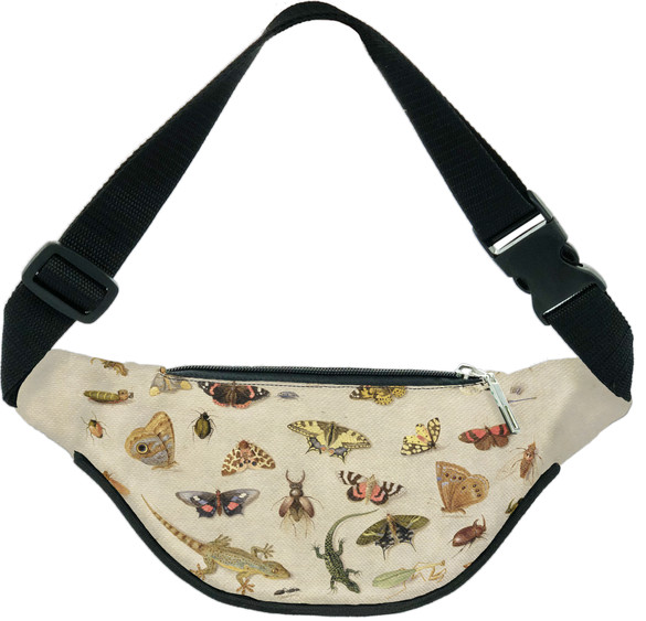 Nerka Studium owadów Jan van Kessel (starszy)