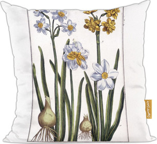 Poduszka Narcyz Maria Sibylla Merian