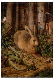 Magnes Zając w lesie Hans Hoffmann