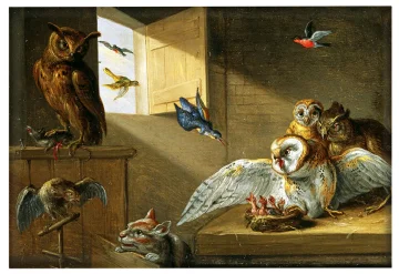 Magnes Rodzina sów, innych ptaków i kota Jan van Kessel (starszy)