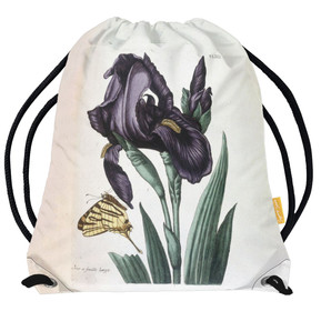 Worek Irys szerokolistny Maria Sibylla Merian