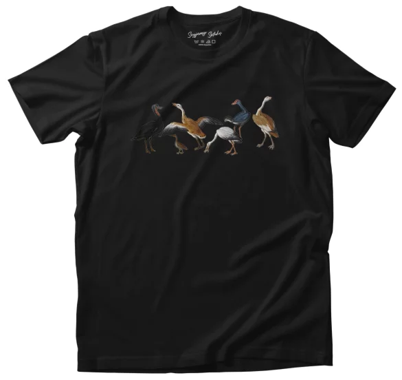 Koszulka Czaple i kaczki na rzece Jan van Kessel (starszy) 