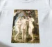 Koszulka z nadrukiem Trzy Gracje Peter Paul Rubens