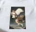 Koszulka z nadrukiem Barn Owl, Tyto Alba James Audubon