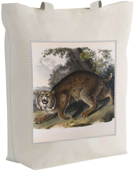 Torba z naszywką Common American Wildcat James Audubon