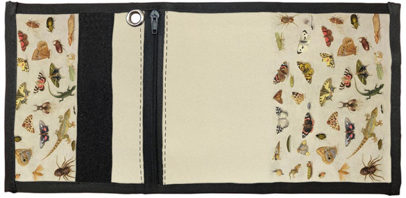 Portfel Studium owadów Jan van Kessel (starszy) 