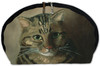Studium głowy kota tabby