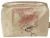 Sikora bogatka na gałęzi paulowni