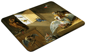 Podkładka Rodzina sów, innych ptaków i kota Jan van Kessel (starszy) 60x40cm