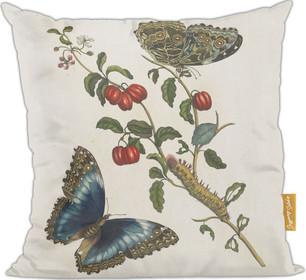 Poduszka Great Blue Butterflies and Red Fruits Maria Sibylla Merian