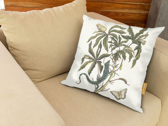 Poduszka Cassave Maria Sibylla Merian