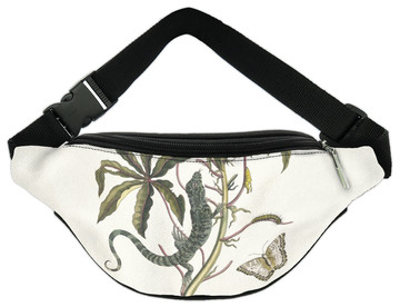 Nerka Cassave Maria Sibylla Merian