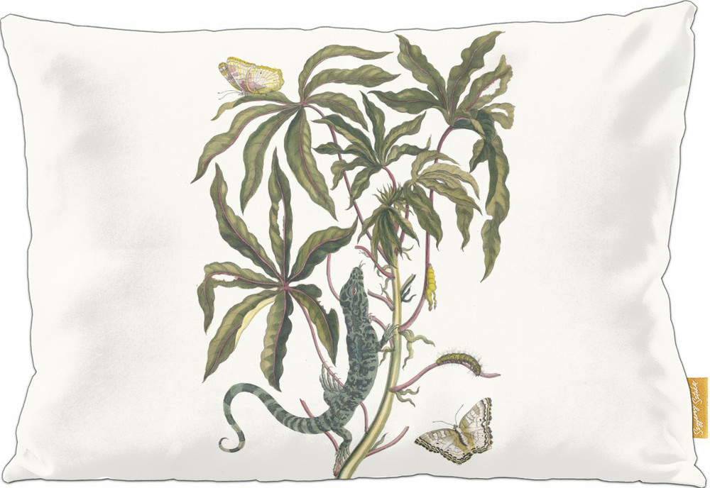 Poduszka Cassave Maria Sibylla Merian