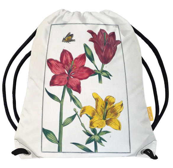 Worek Lilia czerwona Maria Sibylla Merian