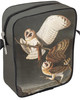 Barn Owl, Tyto Alba