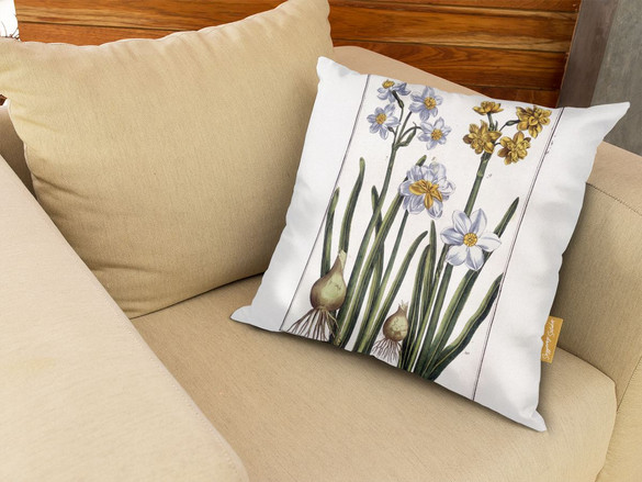 Poduszka Narcyz Maria Sibylla Merian