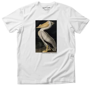 Koszulka z nadrukiem American White Pelican James Audubon