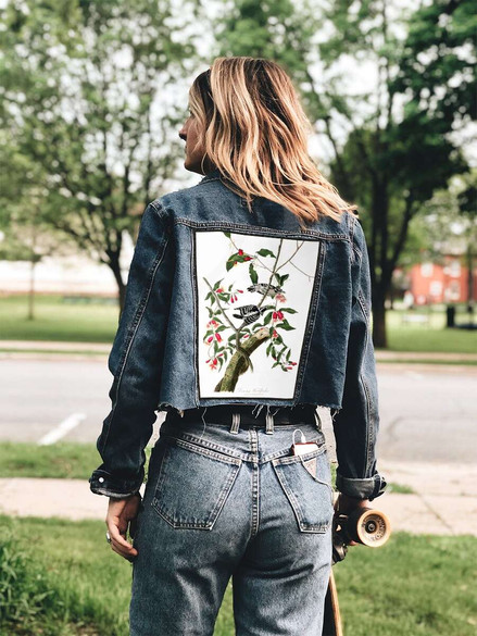 Ekran Downy Woodpecker  James Audubon