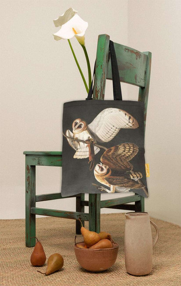 Torba na ramię Barn Owl, Tyto Alba James Audubon