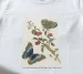 Koszulka z nadrukiem Great Blue Butterflies and Red Fruits Maria Sibylla Merian