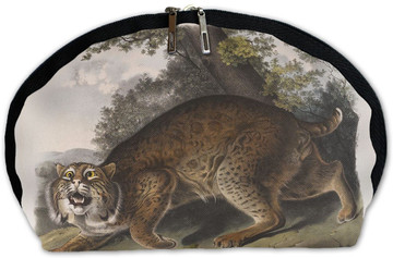 Kosmetyczka Common American Wildcat James Audubon