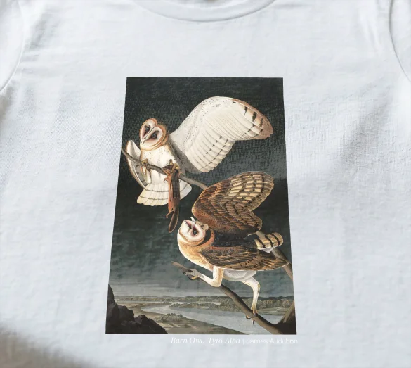 Koszulka z nadrukiem Barn Owl, Tyto Alba James Audubon