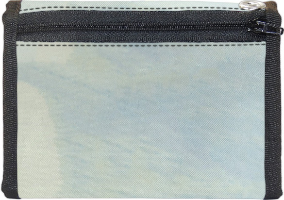 Portfel Imbirowy Tom Louis Wain