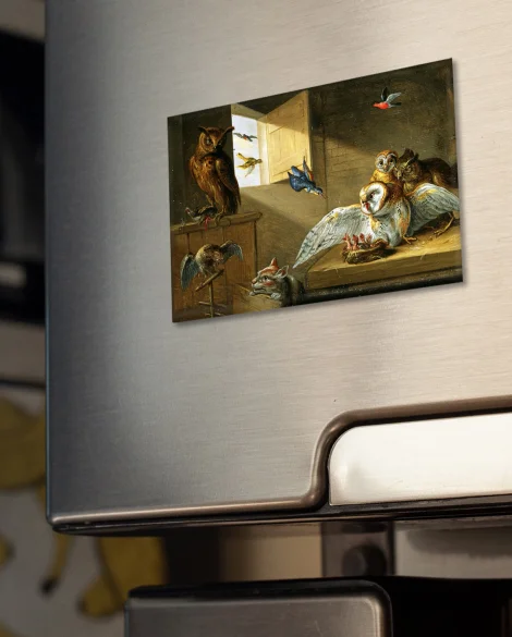 Magnes Rodzina sów, innych ptaków i kota Jan van Kessel (starszy) 