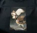 Koszulka z nadrukiem Barn Owl, Tyto Alba James Audubon