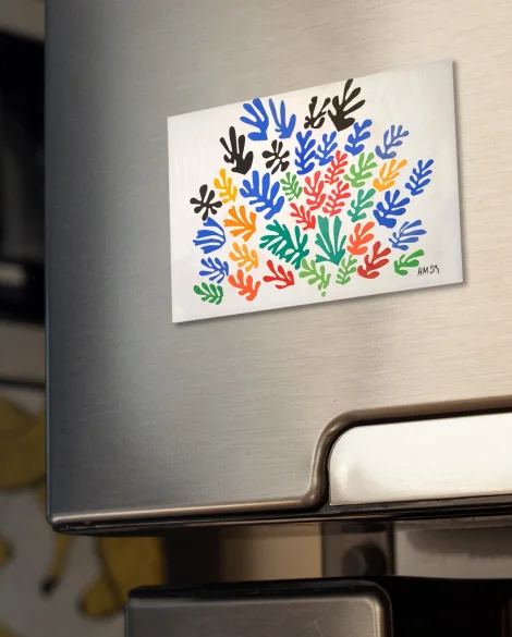 Magnes Snop Henri Matisse