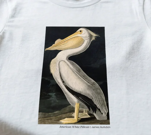 Koszulka z nadrukiem American White Pelican James Audubon