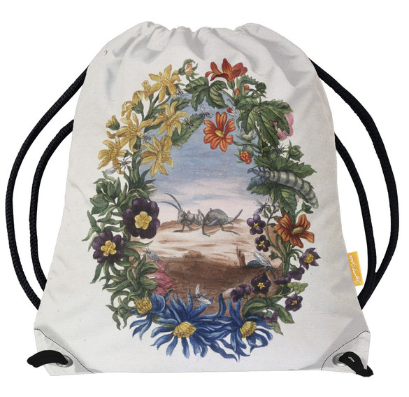 Worek Fourmi Maria Sibylla Merian