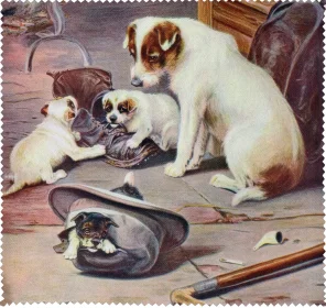 Ściereczka do okularów Obiecująca rodzina William Henry Hamilton Trood