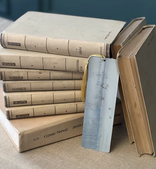 Zakładka do książki Kaczki nad moczarami Stanisław Masłowski