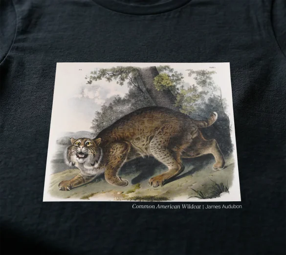 Bluzka damska Common American Wildcat James Audubon