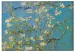 Magnes Szyjemy Sztukę Kwitnący migdałowiec Vincent Van Gogh
