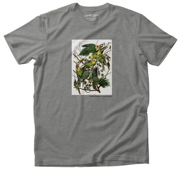 Koszulka z nadrukiem Carolina Parakeet James Audubon