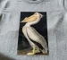 Koszulka z nadrukiem American White Pelican James Audubon