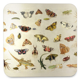 Podkładka pod kubek Studium owadów Jan van Kessel (starszy)