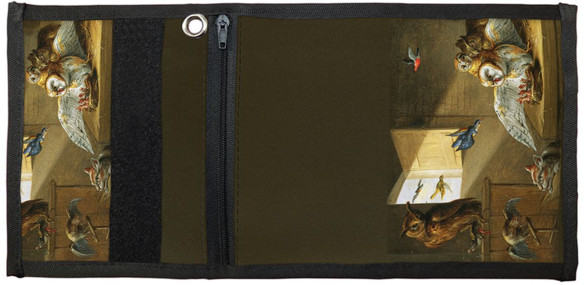 Portfel Rodzina sów, innych ptaków i kota Jan van Kessel (starszy) 