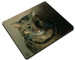 Podkładka Studium głowy kota tabby Louis Wain 36x29cm