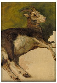 Magnes Kozica Rosa Bonheur