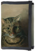 Studium głowy kota tabby
