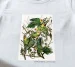 Koszulka z nadrukiem Carolina Parakeet James Audubon