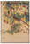 Fuchsia Branches (Sun Tree)